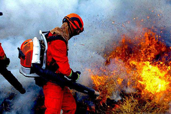 全國消防救援隊(duì)伍人才工作會議在長沙召開